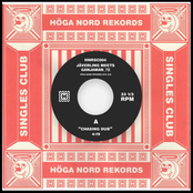 Chasing Dub / Insane Pissapes