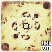 Artem Bemba - Moods Of The Vinegar Region