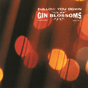 Gin Blossoms: Follow You Down