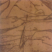 Dust Attracts its Kin