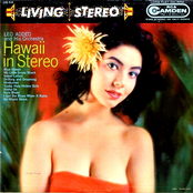 Hawaii in Stereo