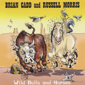Wild Bulls and Horses