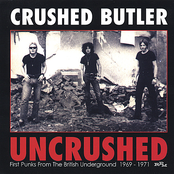 It's My Life by Crushed Butler