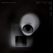 Flatland / Spaceland