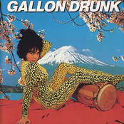 Snake Pit by Gallon Drunk