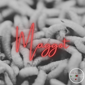 Maggot