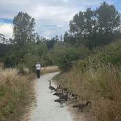 Songs from the city and a small town