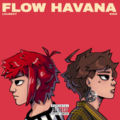 FLOW HAVANA