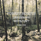 Supermoon Moonlight, Pt. One