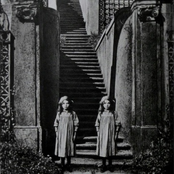 Live From the Indian Burial Grounds