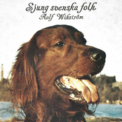 Sjung Svenska Folk by Rolf Wikström