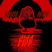 Fire - Single