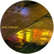 Between No Ground And The Bay Leaf Tree