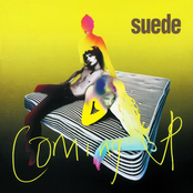 Suede: Coming Up