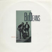 Stella by Bodeans