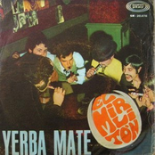 yerba mate