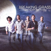 breaking grass