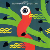 El Nido De Los Ojos Y El Oído