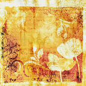 Bleed Me Back to Yesterday