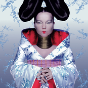 Hunter by Björk