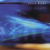Lights Across The Water by Chuck Brown