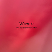 Womb