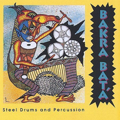 Steel Drums and Percussion