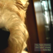 You have choices,don’t you?[promo]