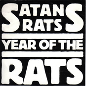 Year Of The Rats 7''