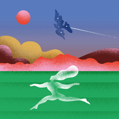 Hold On, Little Bird - Single