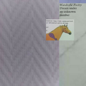 Dream Under An Unknown Number