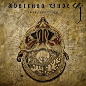Introspection by Abstrusa Unde
