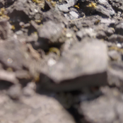 March, April and also May