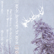 Dawn Summers is Dead