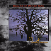 Soul In Flames by Brighter Death Now