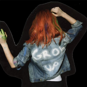 Paramore: Self-Titled Deluxe Album Picture