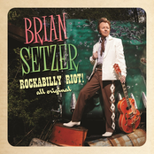 Vinyl Records by Brian Setzer