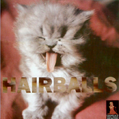 Hairball by Stock, Hausen & Walkman