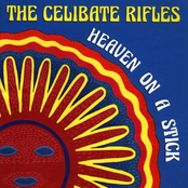 Dream Of Night by The Celibate Rifles