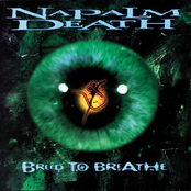 Stranger Now by Napalm Death