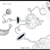 Orca Orca: Make Live