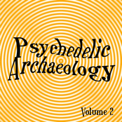 Psychedelic Archaeology Volume 2