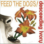 FEED THE DOGS!