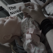 the nenis