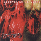 Placeres De La Carne