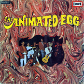 Animated Egg