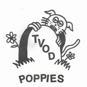TVOD: Poppies
