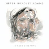 Peter Bradley Adams: A Face Like Mine