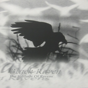 Solitude Of Ravens by Black Raven