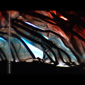 Disturbance and Forgotten Diseases